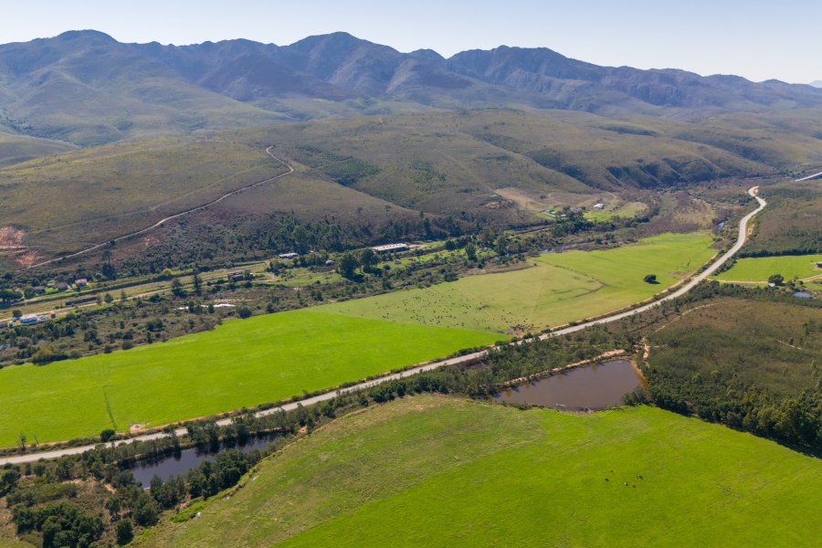 0 Bedroom Property for Sale in Kareedouw Eastern Cape